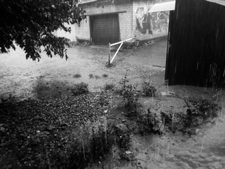 дощ за вікном 3