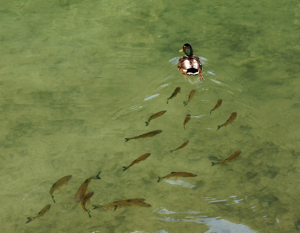 у кільватері / in a quantizer