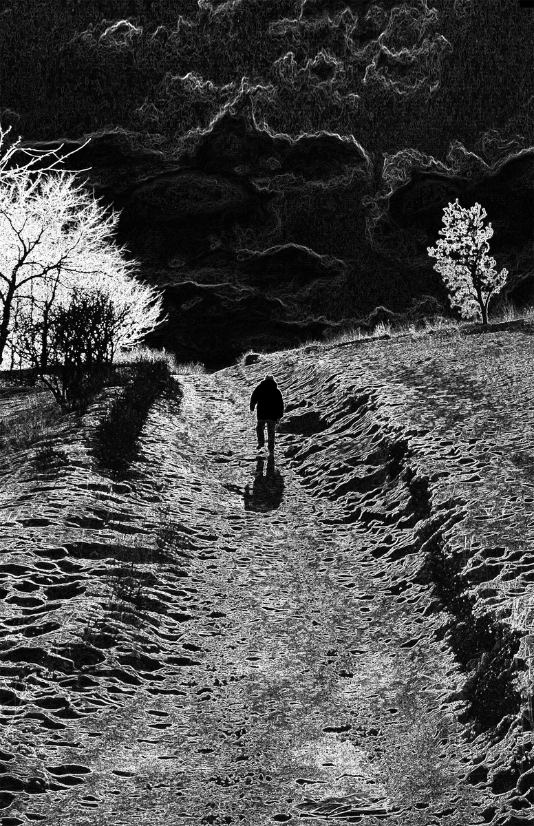 дорога на пагорби / road to the humpbacks