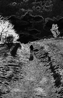 дорога на пагорби / road to the humpbacks