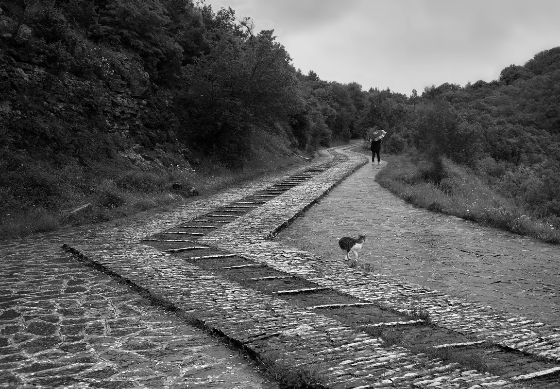 самотність / solitude