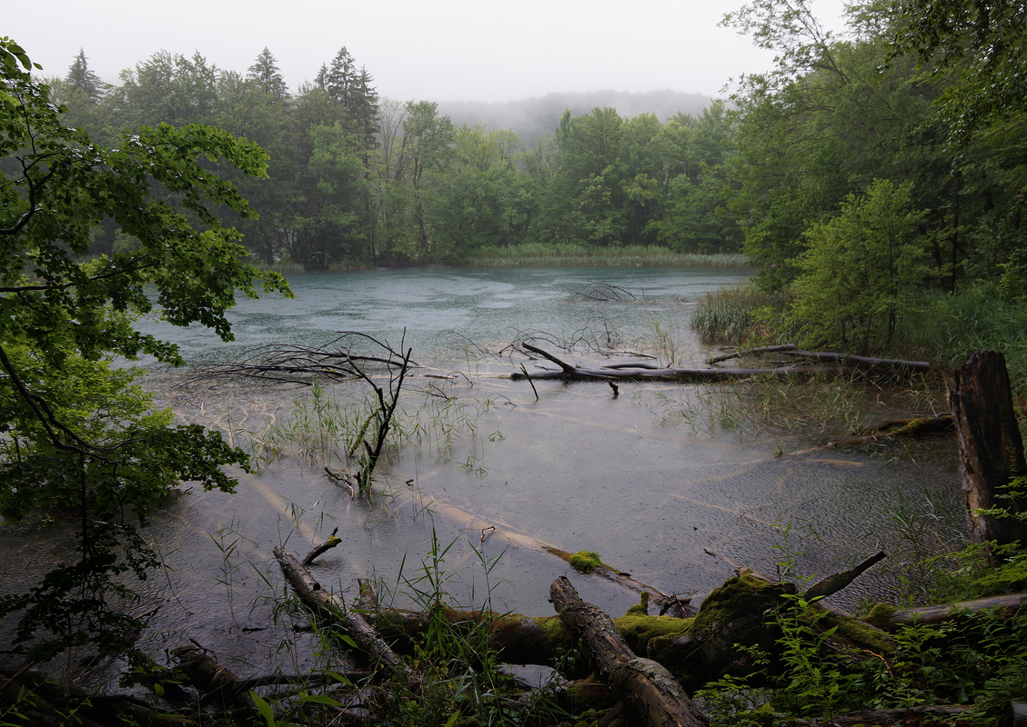 озеро під дощем/  a lake in the rain