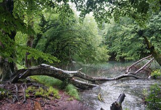 дощовий берег / rainy shore