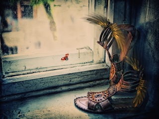 for lovers of walking