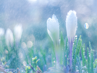 Доброе утро