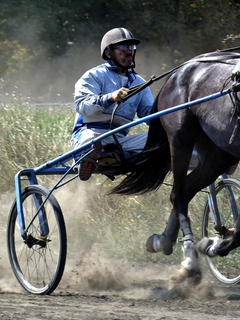 Догнать ветер...