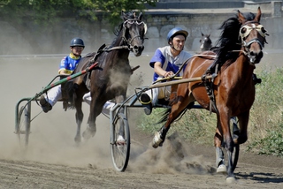 За фаворитом...