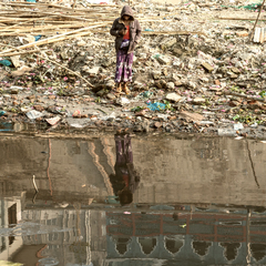 mobile and dead river