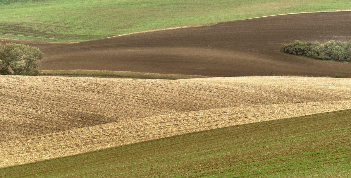 fragment of landscape 