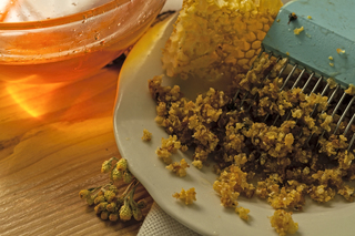 Меди Полісся. Забрус.