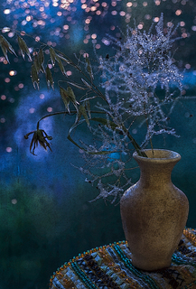 Нічний натюр