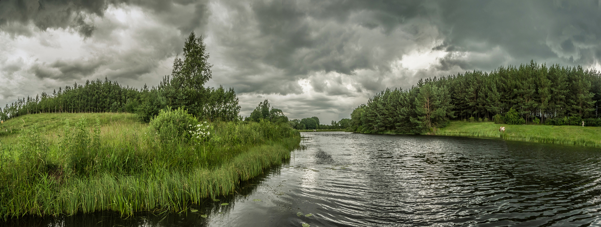 Перед грозою