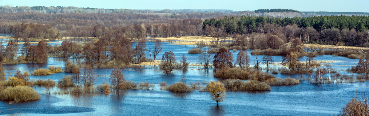 Розлилася річка навесні