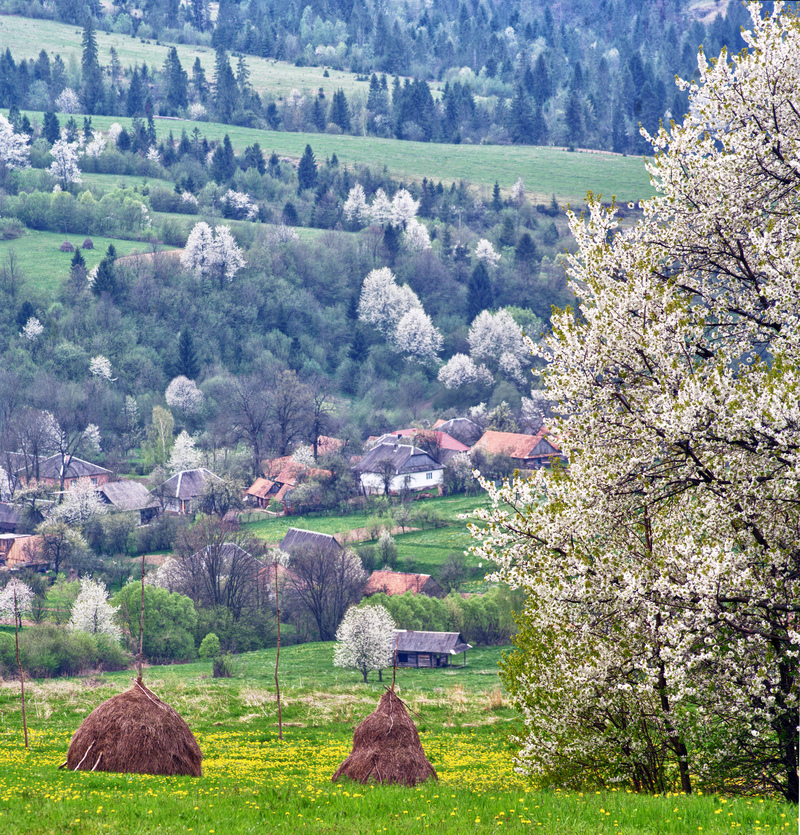 Весна за перевалом