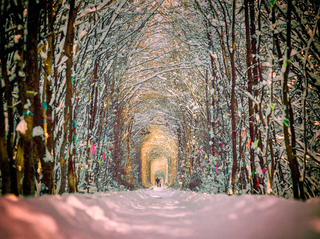 Дорога кохання.