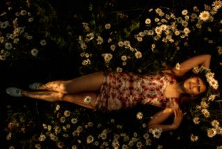 Ромашковий рай!