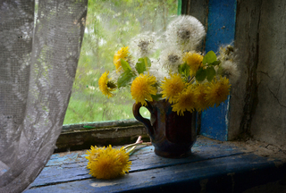 Маленька радість