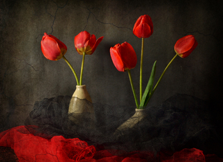 Червоне - то любов, а чорне - то журба