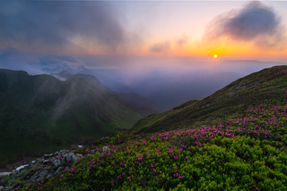 Налетіла чорна хмара