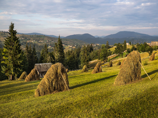 Вечірня Яблуниця