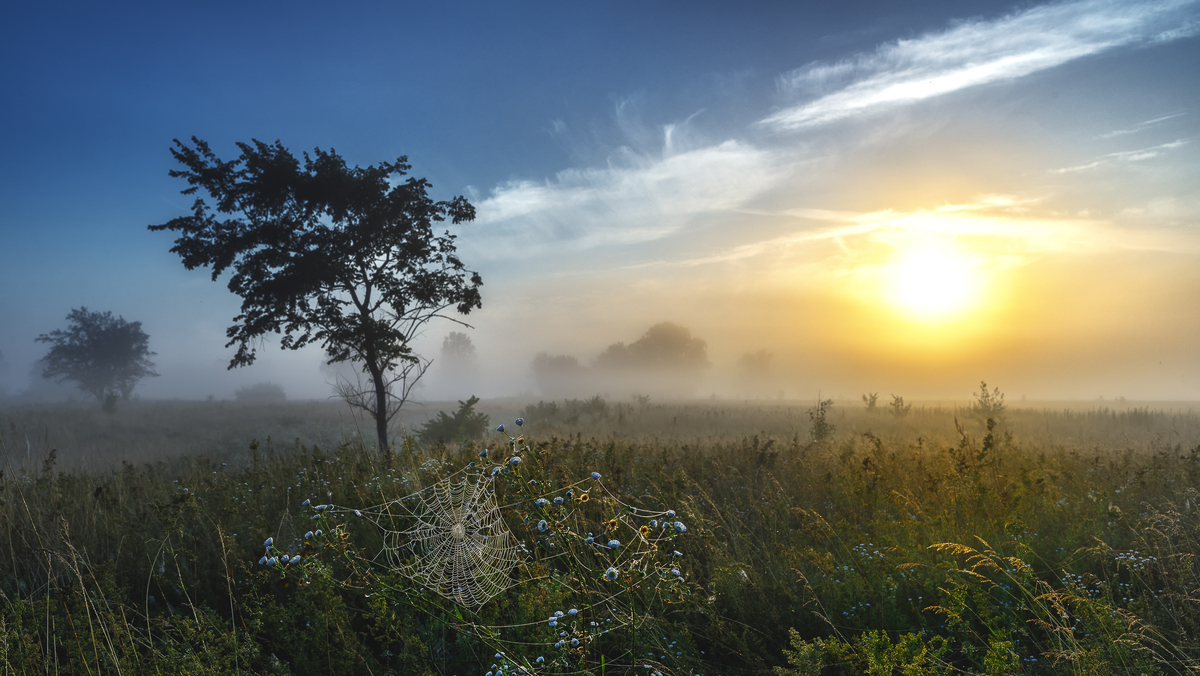 Что рядом – нам найти всегда нелегко
