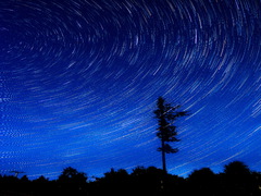 Метагалактика