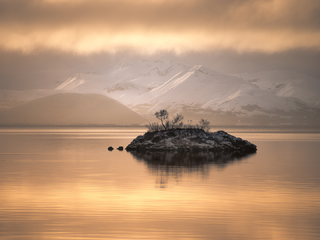 Golden dreams island