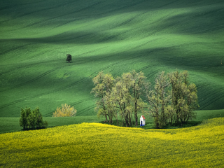 Between yellow shore and green ocean waves