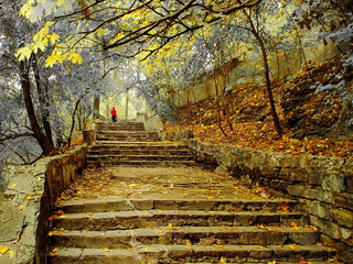 Старая лестница