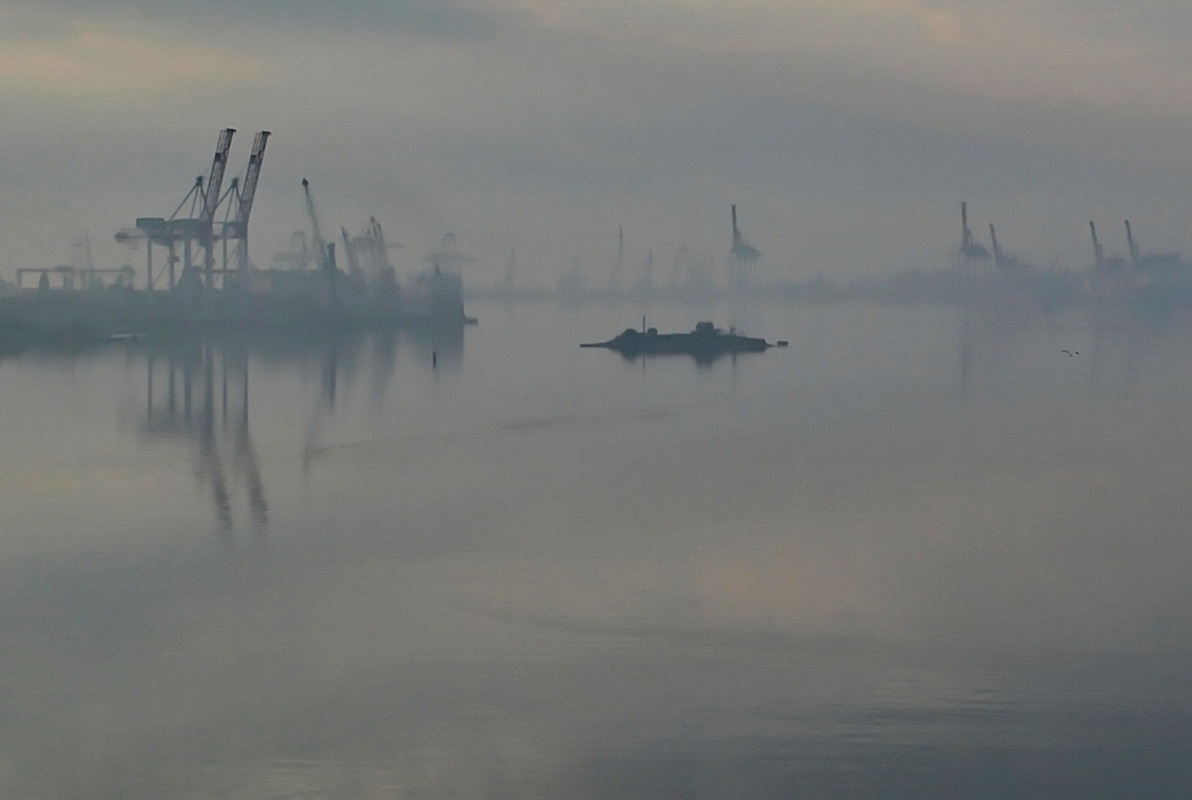 Залив динозавров