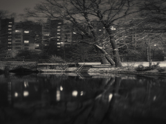 ВЕЧІРНЯ ПРОГУЛЯНКА