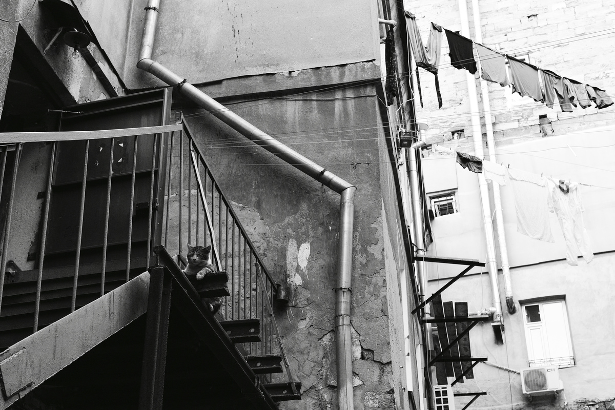 Одесский двор