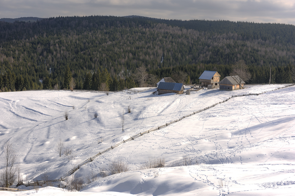 Утро в Карпатах