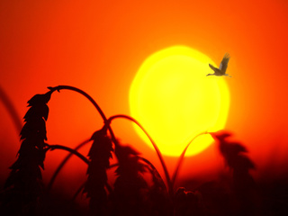 завтра буде новий день