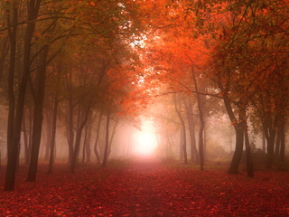 осінній парк