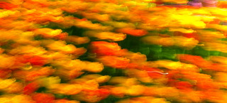 кольори весни