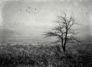 залишаюсь на самоті