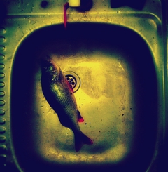 натюрморт з рибкою