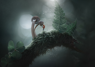 Таинственные миры