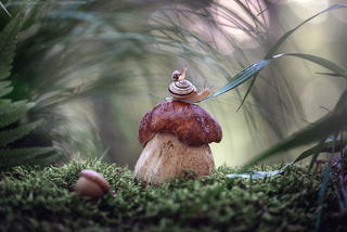 В поисках приключений