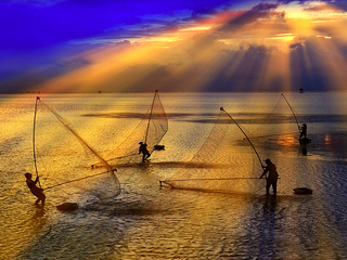 MORNING ON THE BEACH