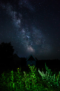 Літня ніч на селі