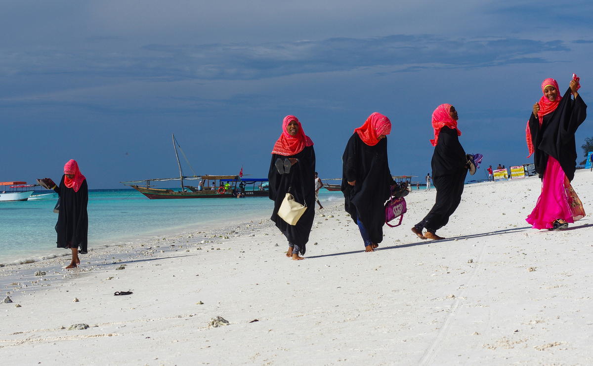 Penguins of the desert