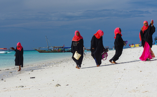 Penguins of the desert