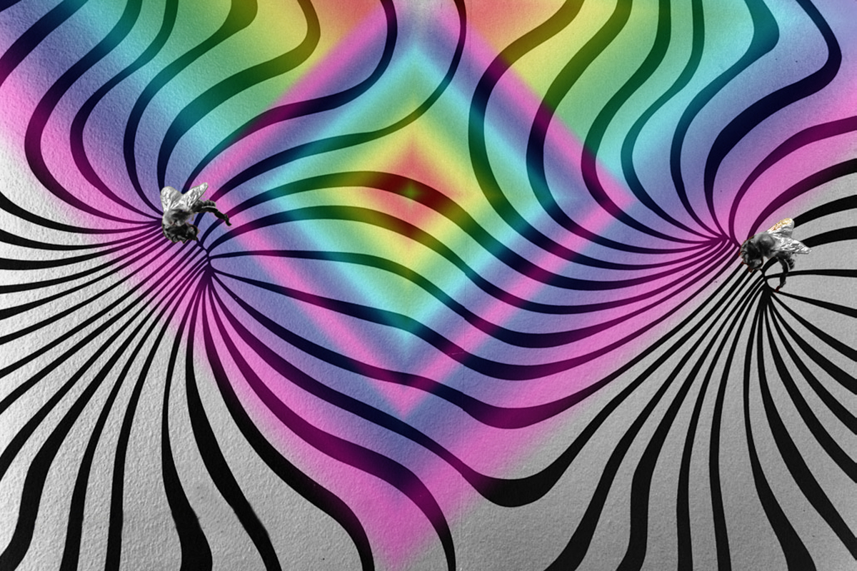 Rainbow pattern LR-0162