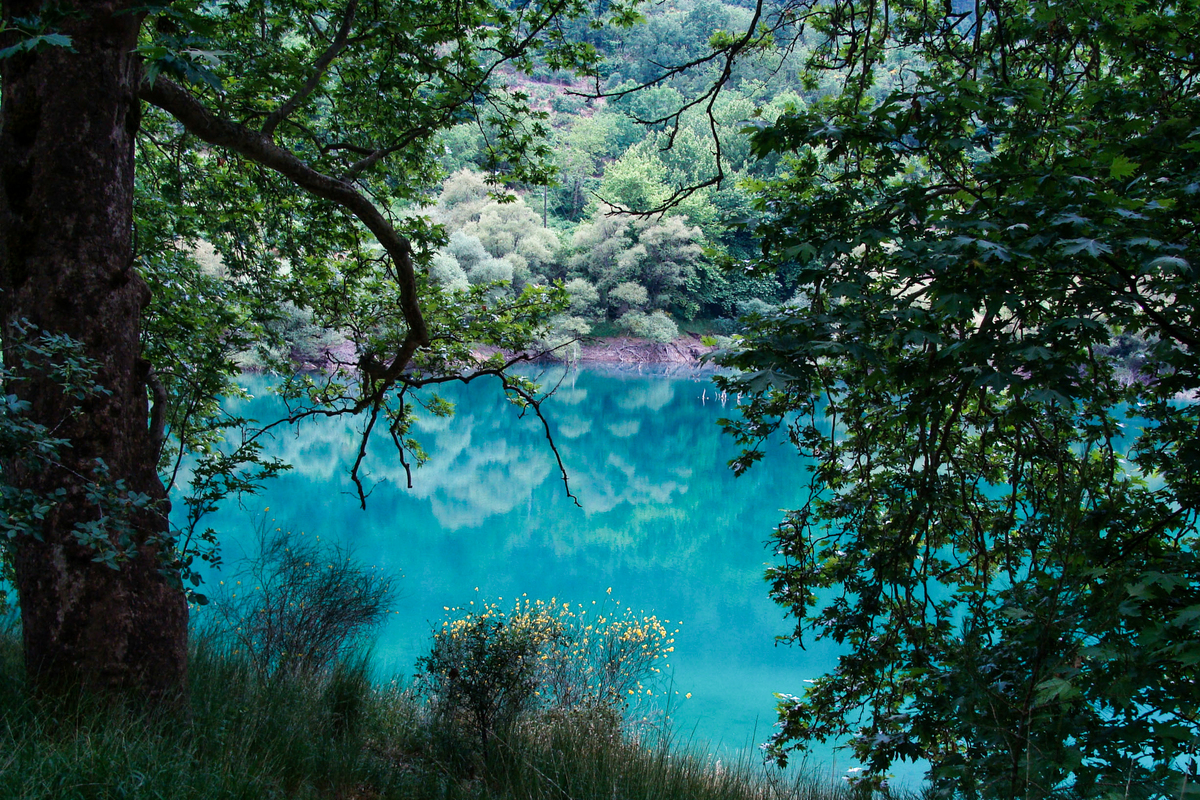 Reflexions in Tsivlou Lake LR-01463