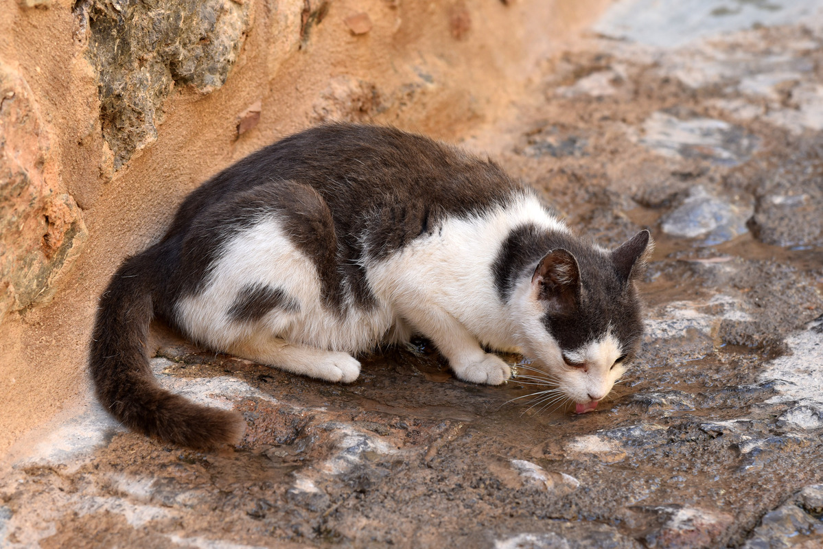 For a few drops of water