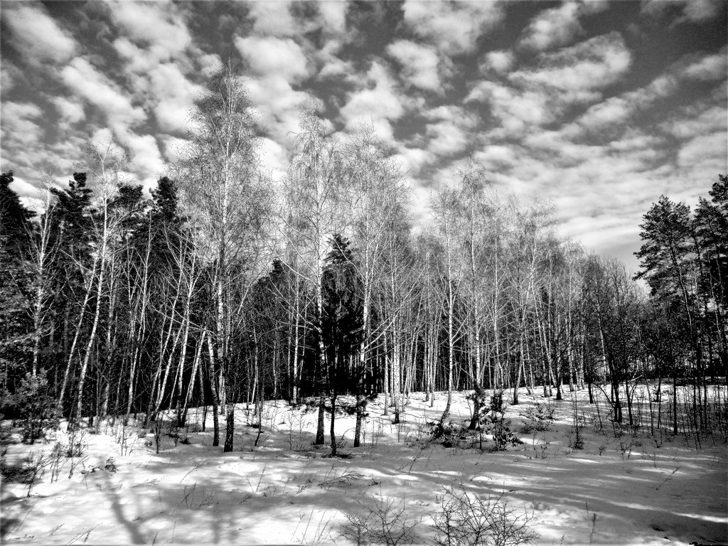  Під віялом хмар.