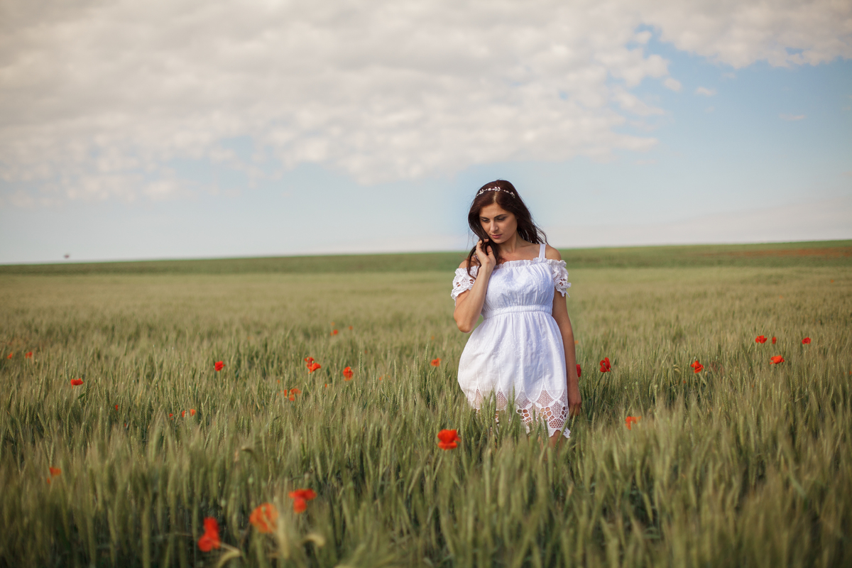 Красные маки