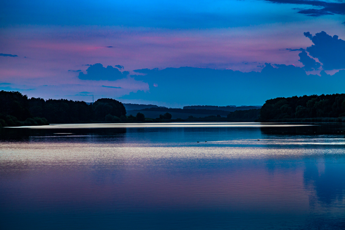 Вечірня тиша на ставку